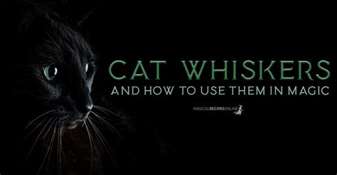 Whiskers and witchcraft